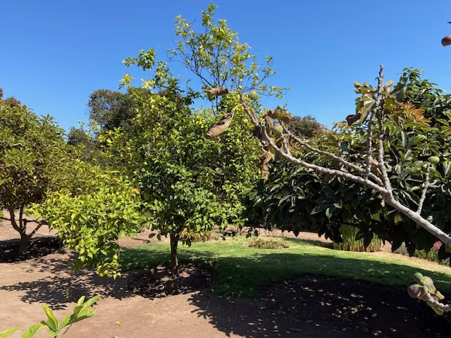 Parcela Campomar IV- Mantagua; 2.500mt2; 4D/3B/E7Bd; Piscina; frutales.