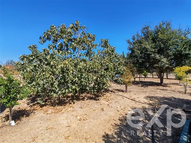 Venta Parcela en Condominio La Foresta de Zapallar