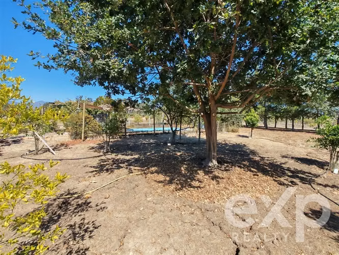 Venta Parcela en Condominio La Foresta de Zapallar