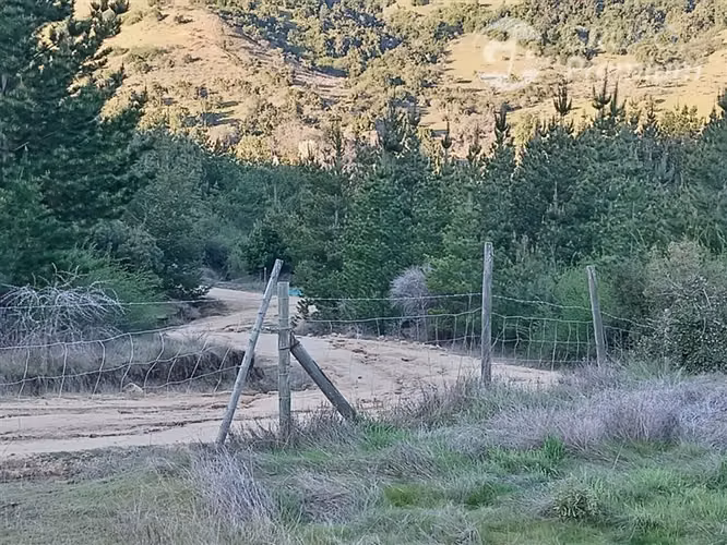Parcela en venta en Chépica
