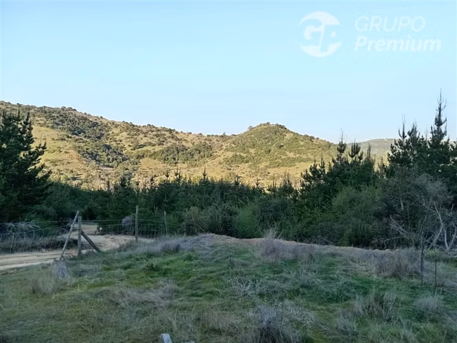 Parcela en venta en Chépica