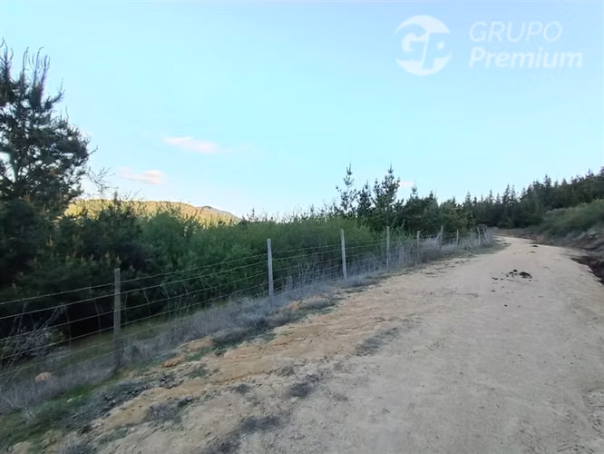 Parcela en venta en Chépica