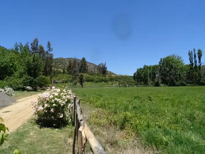 Parcela 5.000m2 en Valle Almahue | Luz, agua y rol propio