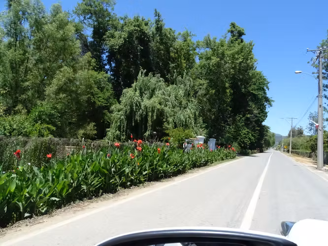 Parcela 5.000m2 en Valle Almahue | Luz, agua y rol propio
