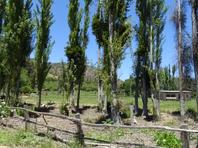 Parcela 5.000m2 en Valle Almahue | Luz, agua y rol propio