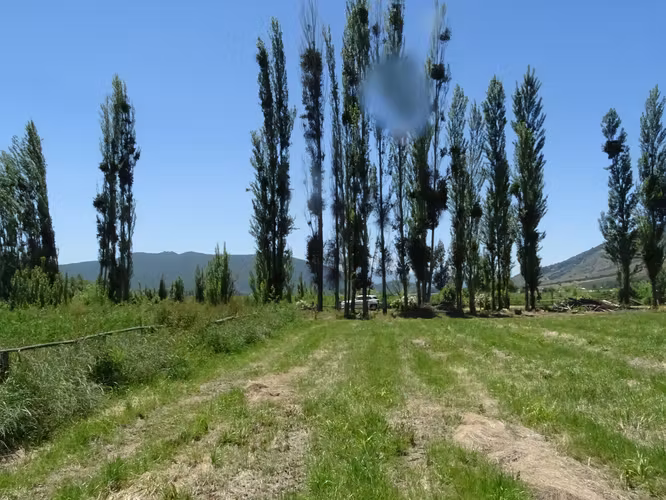 Parcela 5.000m2 en Valle Almahue | Luz, agua y rol propio