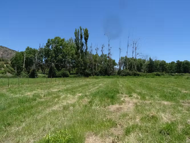 Parcela 5.000m2 en Valle Almahue | Luz, agua y rol propio