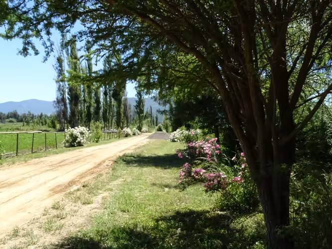 Parcela 5.000m2 en Valle Almahue | Luz, agua y rol propio