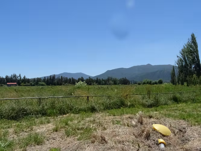 Parcela 5.000m2 en Valle Almahue | Luz, agua y rol propio