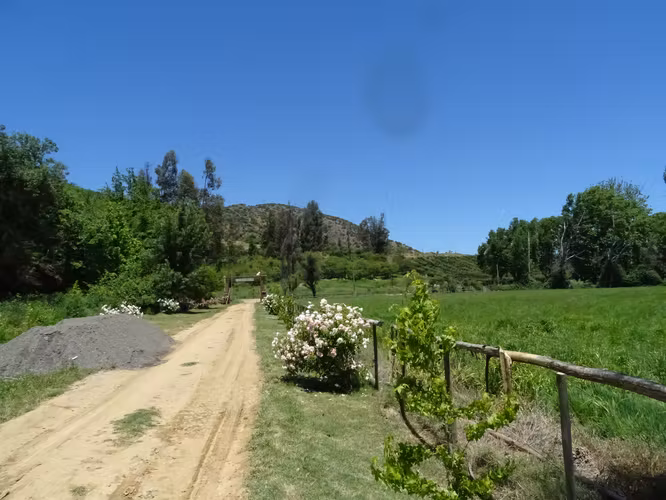 Parcela 5.000m2 en Valle Almahue | Luz, agua y rol propio