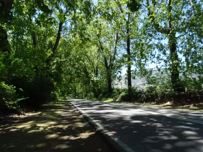 Parcela 5.000m2 en Valle Almahue | Luz, agua y rol propio