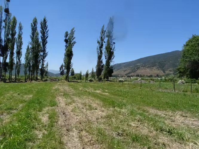 Parcela 5.000m2 en Valle Almahue | Luz, agua y rol propio