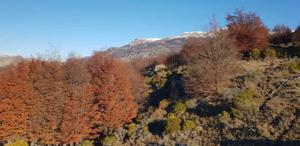 Terreno 145 hás hermosas vistas (156990)