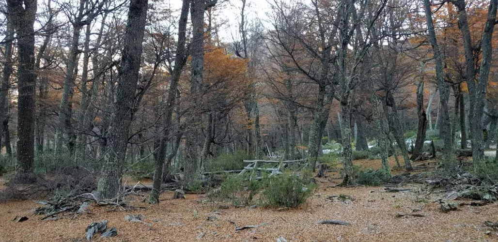 Terreno 145 hás hermosas vistas (156990)