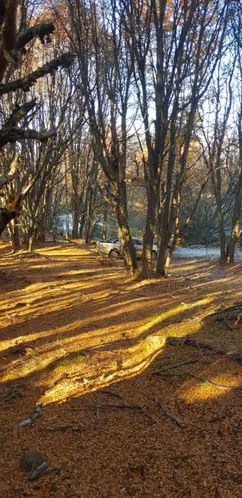 Terreno 145 hás hermosas vistas (156990)