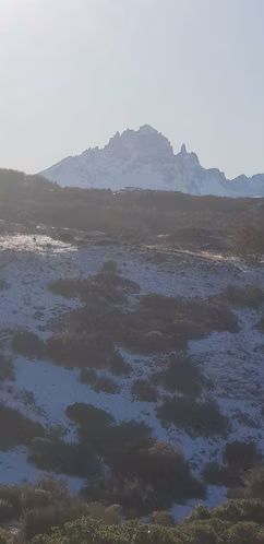 Terreno 145 hás hermosas vistas (156990)