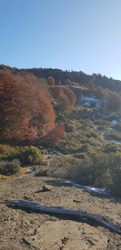 Terreno 145 hás hermosas vistas (156990)