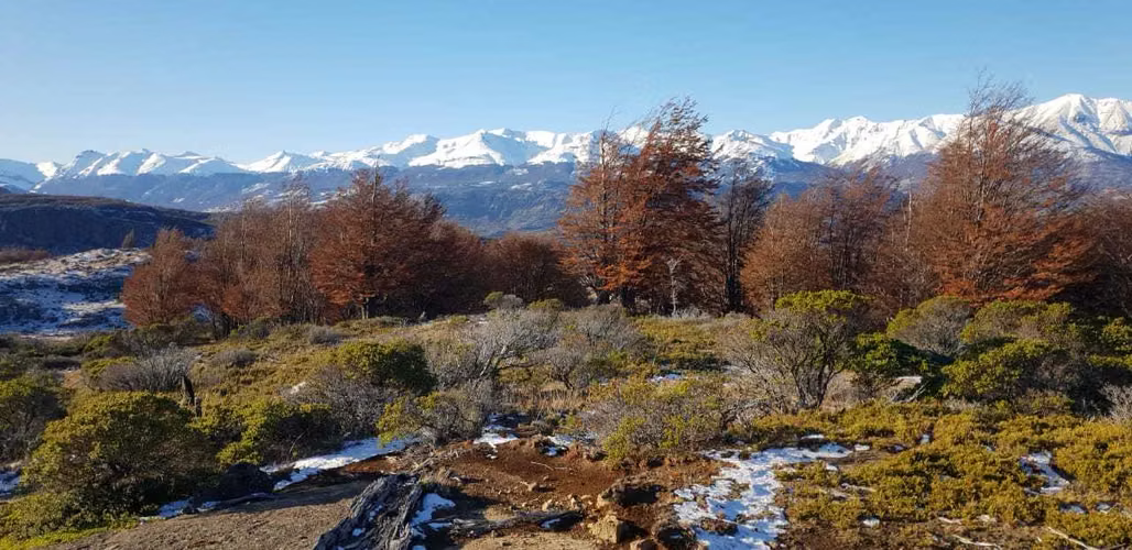 Terreno 145 hás hermosas vistas (156990)