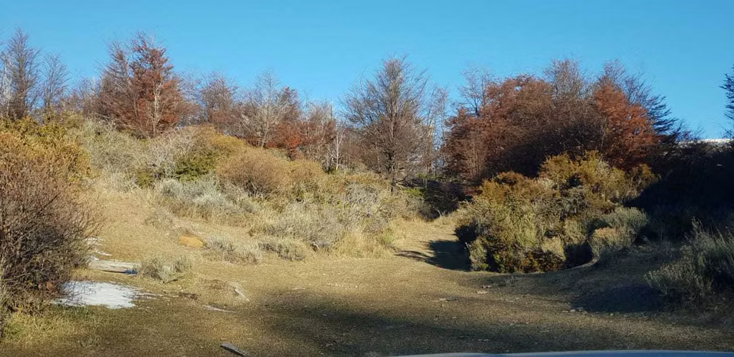Terreno 145 hás hermosas vistas (156990)