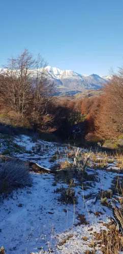 Terreno 145 hás hermosas vistas (156990)