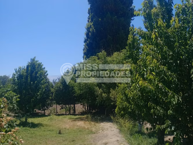 VENDE PARCELA CON CASA - ENTORNO NATURAL Y PRIVADO