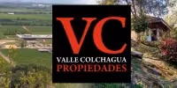 INVERSIONISTAS / VENDEMOS 99.000 MTRS2 /AGRICOLA EN PRODUCCION / CHILE