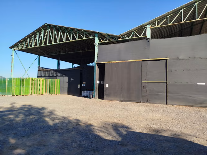 INVERSIONISTAS / VENDEMOS 99.000 MTRS2 /AGRICOLA EN PRODUCCION / CHILE