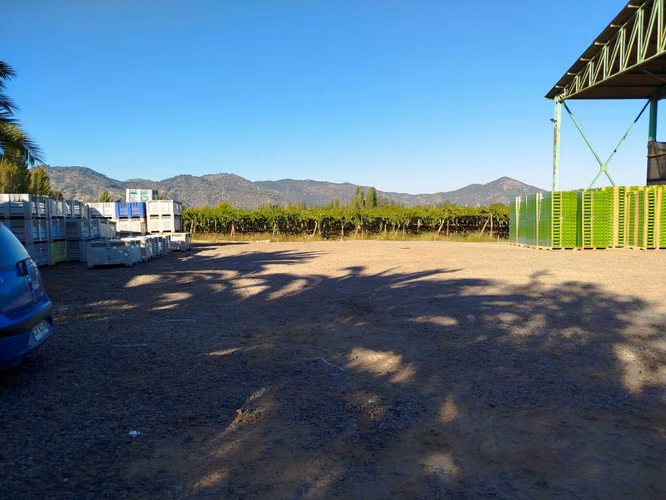 INVERSIONISTAS / VENDEMOS 99.000 MTRS2 /AGRICOLA EN PRODUCCION / CHILE