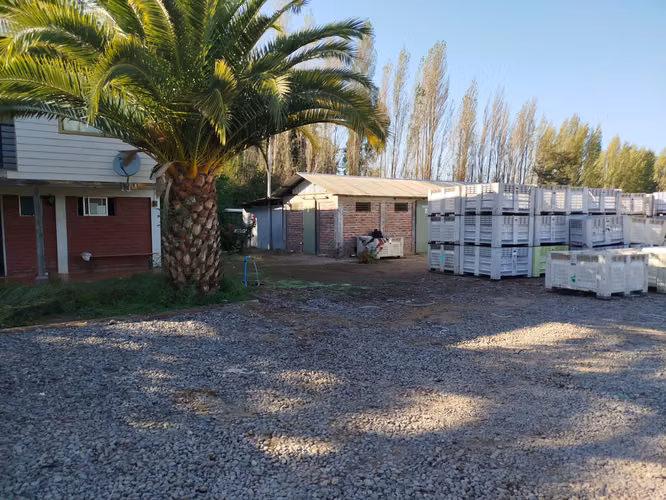 INVERSIONISTAS / VENDEMOS 99.000 MTRS2 /AGRICOLA EN PRODUCCION / CHILE
