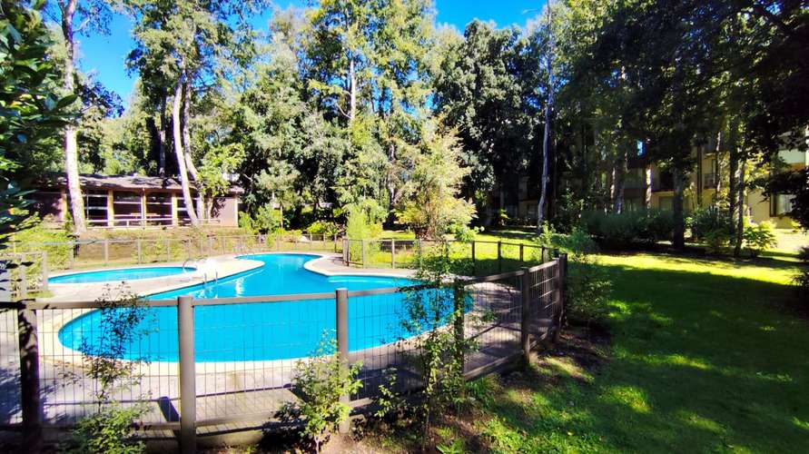 ARRIENDO DEPTO 1D COND PARQUE SUIZO PUCÓN (157069)