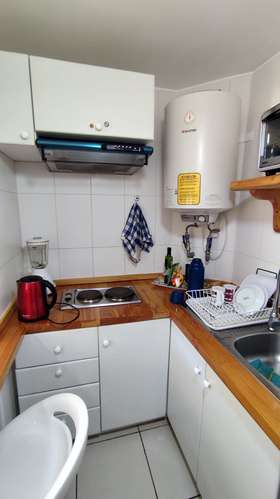 ARRIENDO DEPTO 1D COND PARQUE SUIZO PUCÓN (157069)