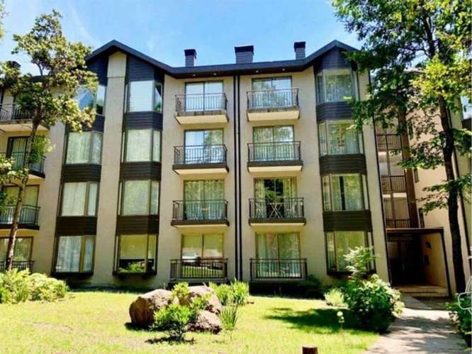 ARRIENDO DEPTO 1D COND PARQUE SUIZO PUCÓN (157069)