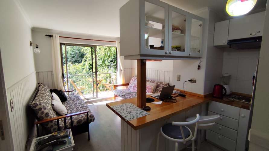 ARRIENDO DEPTO 1D COND PARQUE SUIZO PUCÓN (157069)
