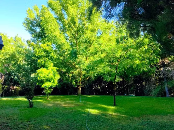 Curacaví, 11.000 m2/jardín, arboles nativos (157113)