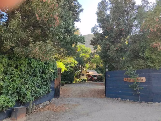 Curacaví, 11.000 m2/jardín, arboles nativos (157113)