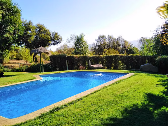 Curacaví, 11.000 m2/jardín, arboles nativos (157113)