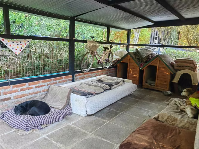 Curacaví, 11.000 m2/jardín, arboles nativos (157113)