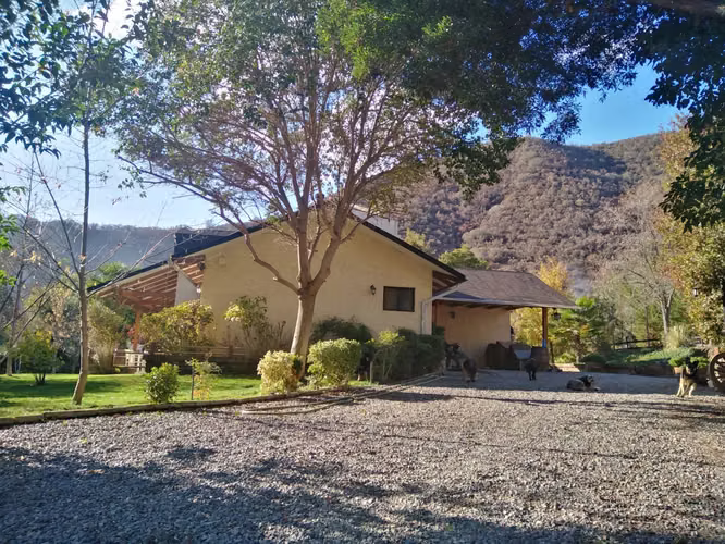 Curacaví, 11.000 m2/jardín, arboles nativos (157113)