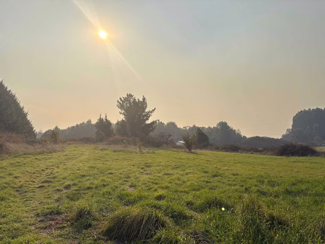 SE VENDE PARCELA 9375 M2 EN VILCÚN (157116)