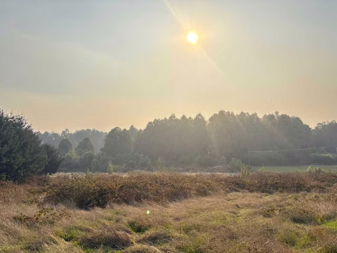 SE VENDE PARCELA 9375 M2 EN VILCÚN (157116)