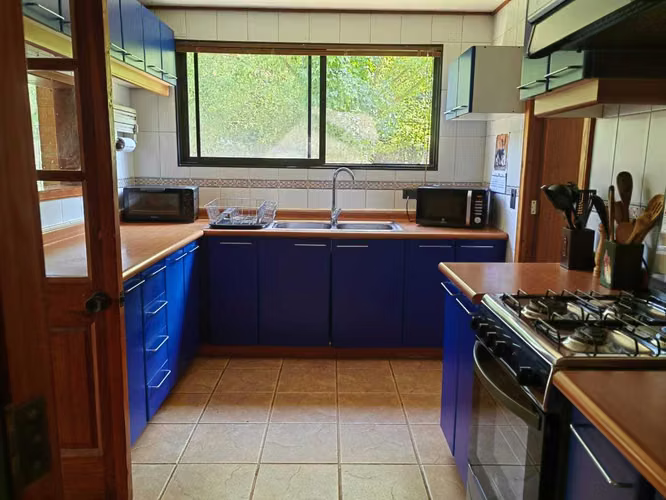 Curacaví, 11.000 m2/jardín, arboles nativos (157123)