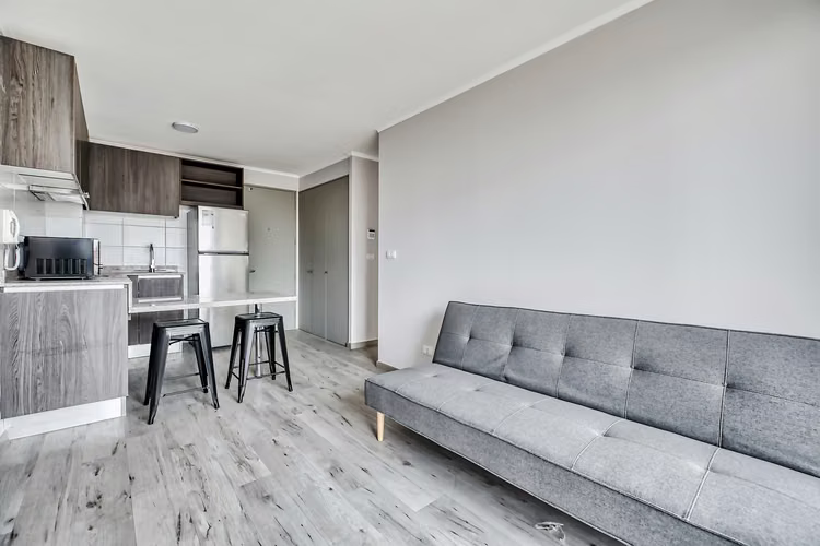 Vicuña Urban [1322-16]