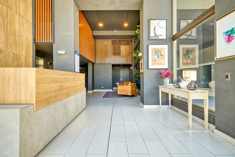 Vicuña Urban [1322-16]