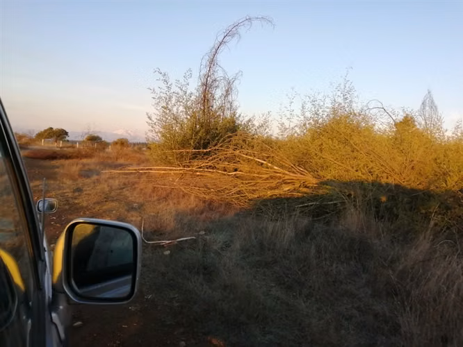 se vende Parcela en Parral