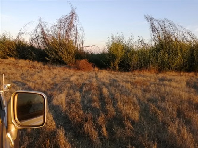 se vende Parcela en Parral