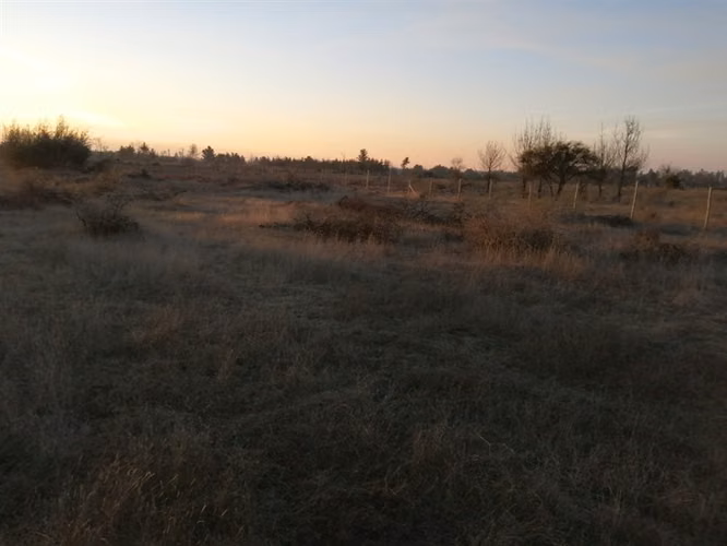 se vende Parcela en Parral