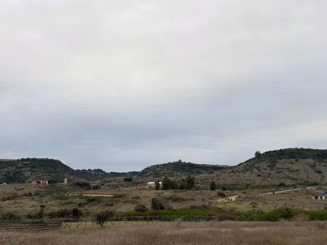 Se Vende Parcela, 5000 M2, Hermoso Paisaje Natural, Litueche