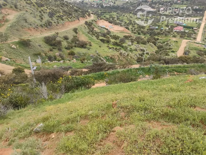 Parcela en venta 5000m2 + medidor agua y luz en Curacaví