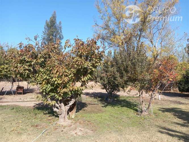Venta de Parcela con 3 casas en Padre Hurtado - Imagen 40