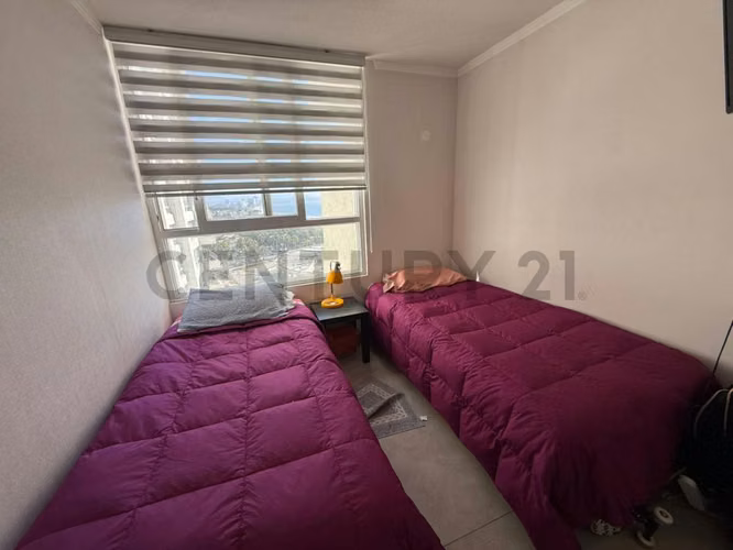 Arriendo Departamento año corrido, sector Peñuelas